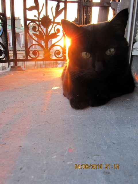2010-06-04 Nouveau PC_l.jpg